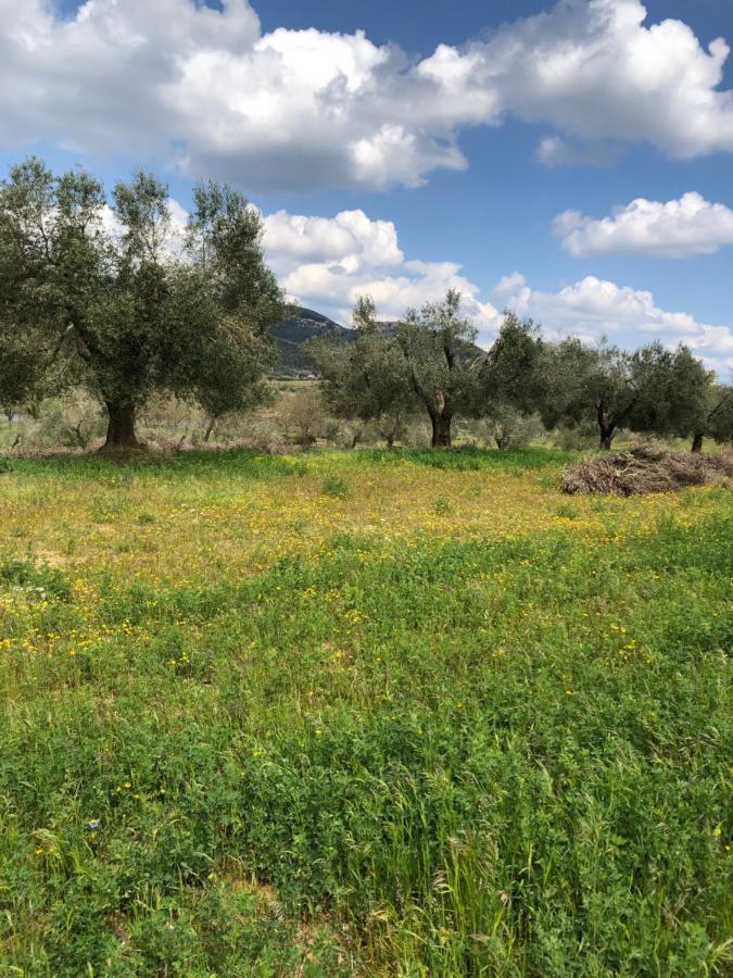Maremma Toscana Podere Poggiarelli Campagnatico Екстериор снимка