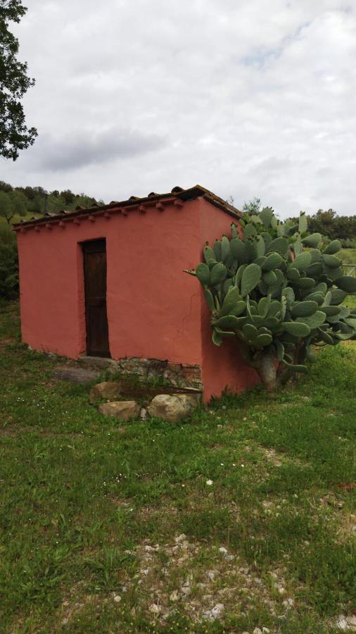 Maremma Toscana Podere Poggiarelli Campagnatico Екстериор снимка