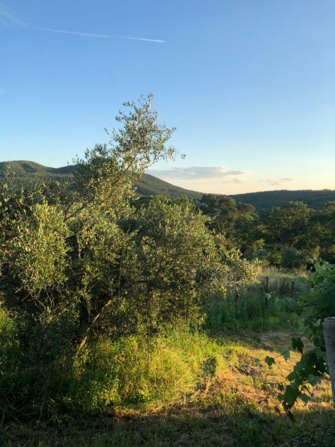 Maremma Toscana Podere Poggiarelli Campagnatico Екстериор снимка